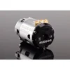 Ruddog Brushless Motor RP540 17.5T 540 Fixed Timing Sensored