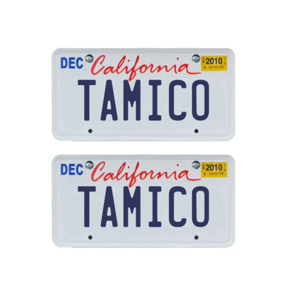 Tamico Kennzeichen "TAMICO" USA 1:10 3D 2er Set