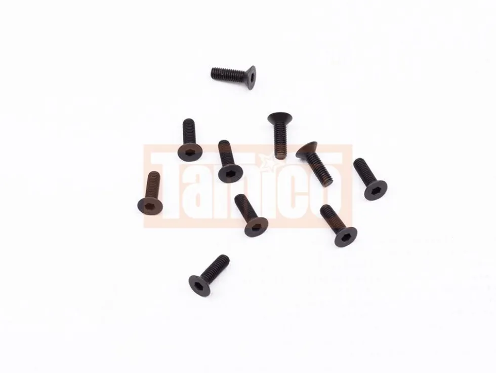 Tamiya Sechskant-Senkkopfschraube 3x10mm (10)
