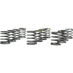 Yeah Racing Dämpfer-Federn-Set für Qutus D-Bore 50/55mm Dämpfer (12)