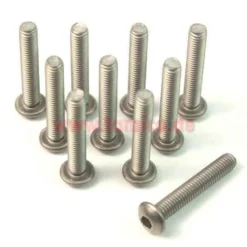 Yeah Racing Titan Rundkopf-Schraube 3x25mm (10)